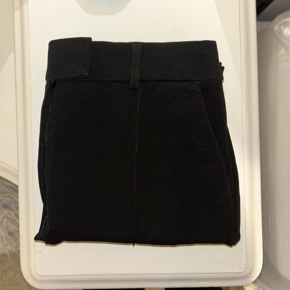Express Dress Pants